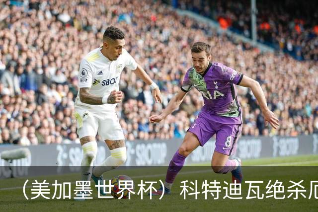 （美加墨世界杯）科特迪瓦绝杀厄瓜多尔 瑞典5:1大胜突尼斯